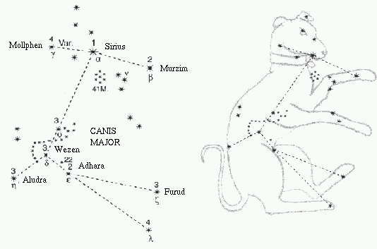 La costellazione del Cane Maggiore e la Stella Sirio